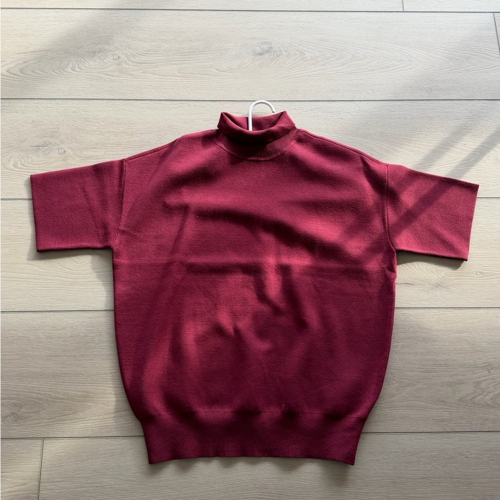 Aritzia Babaton Advice Turtleneck Sweater